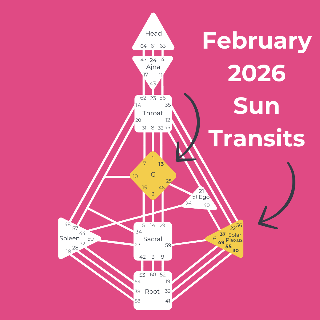 human design bodygraph showing February 2026 sun transits through Gates 13, 49, 30, 55, 37