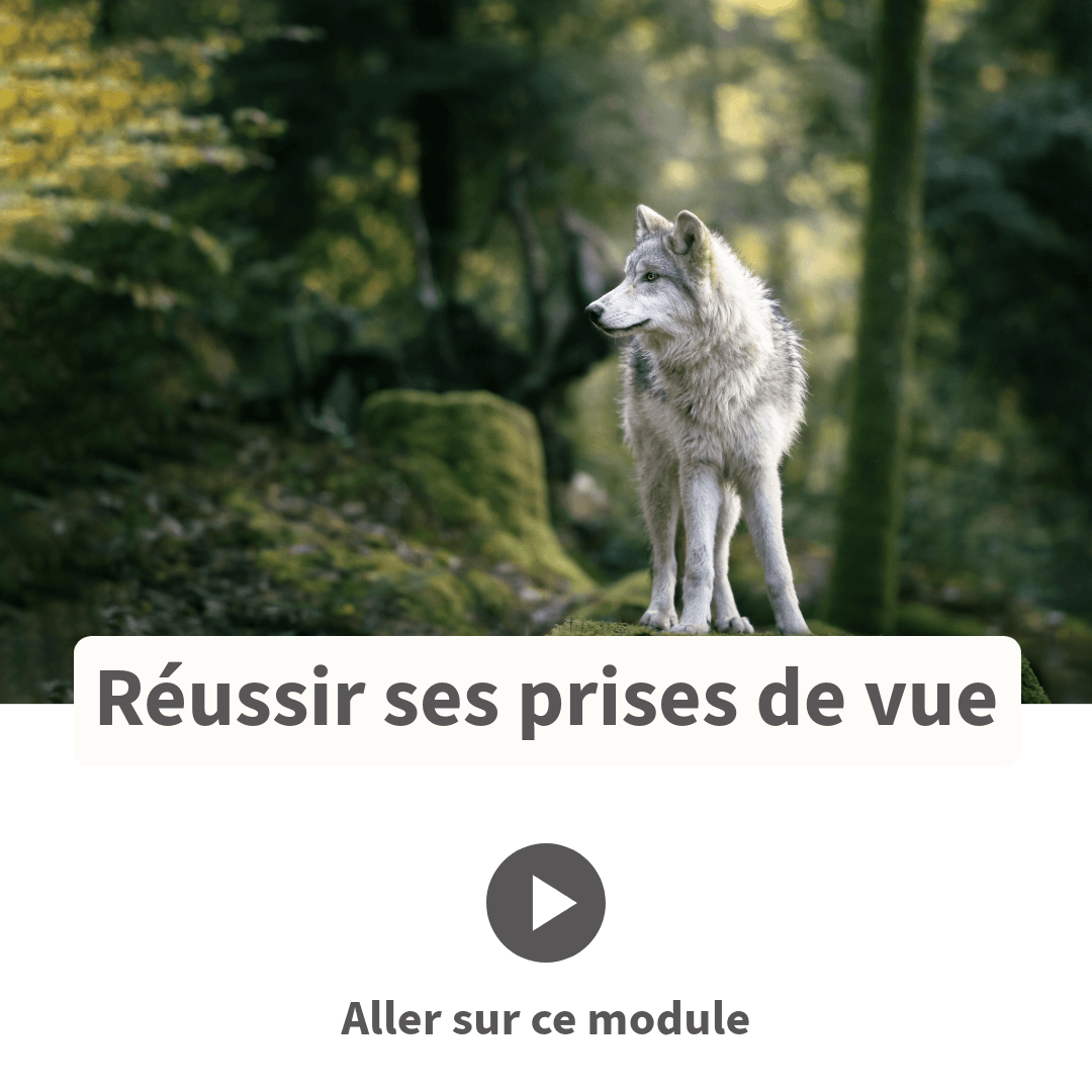 Réussir tes prises de vue