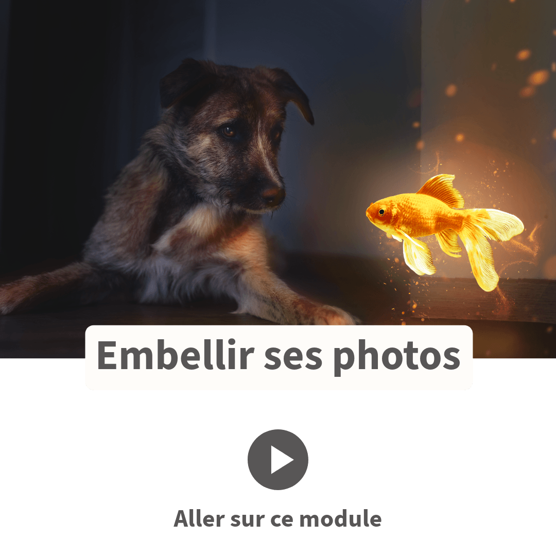 Embellir tes photos