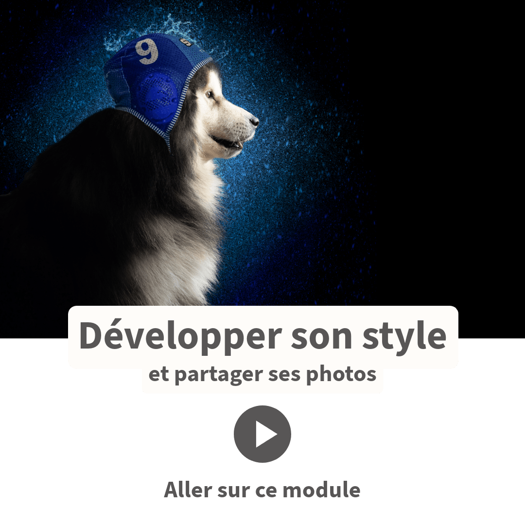 Développer ton style