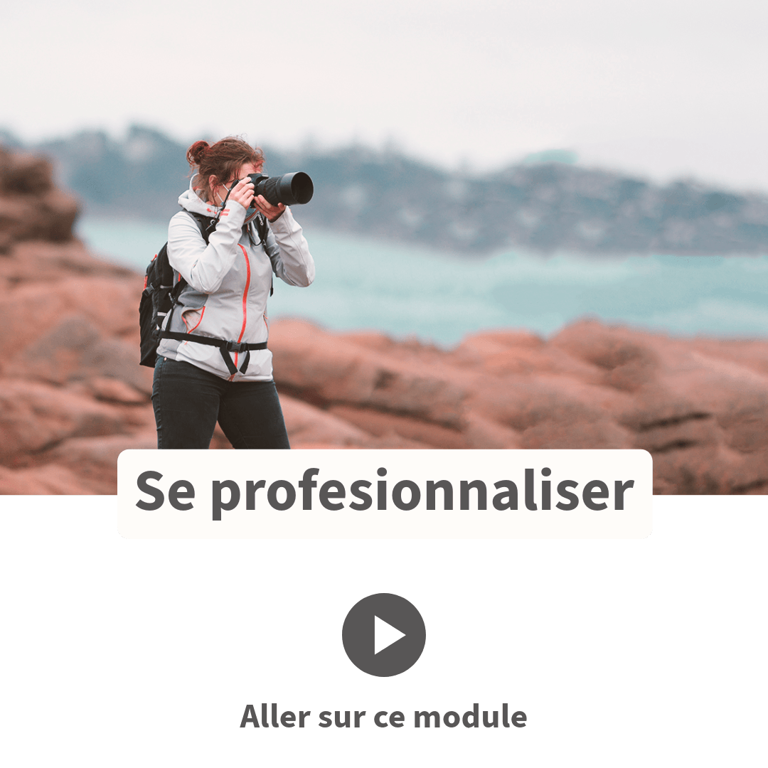 Te professionnaliser