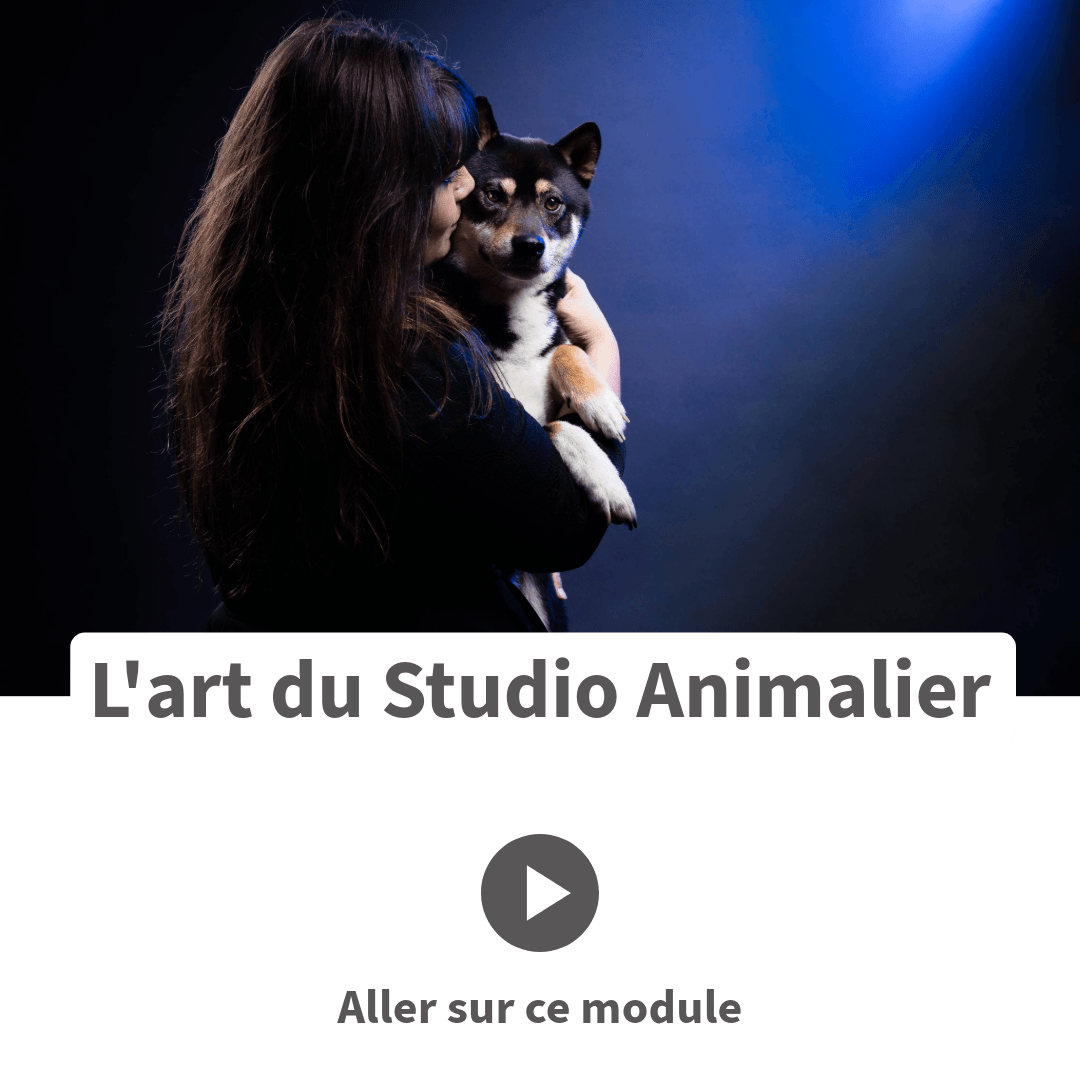 Explorer le studio