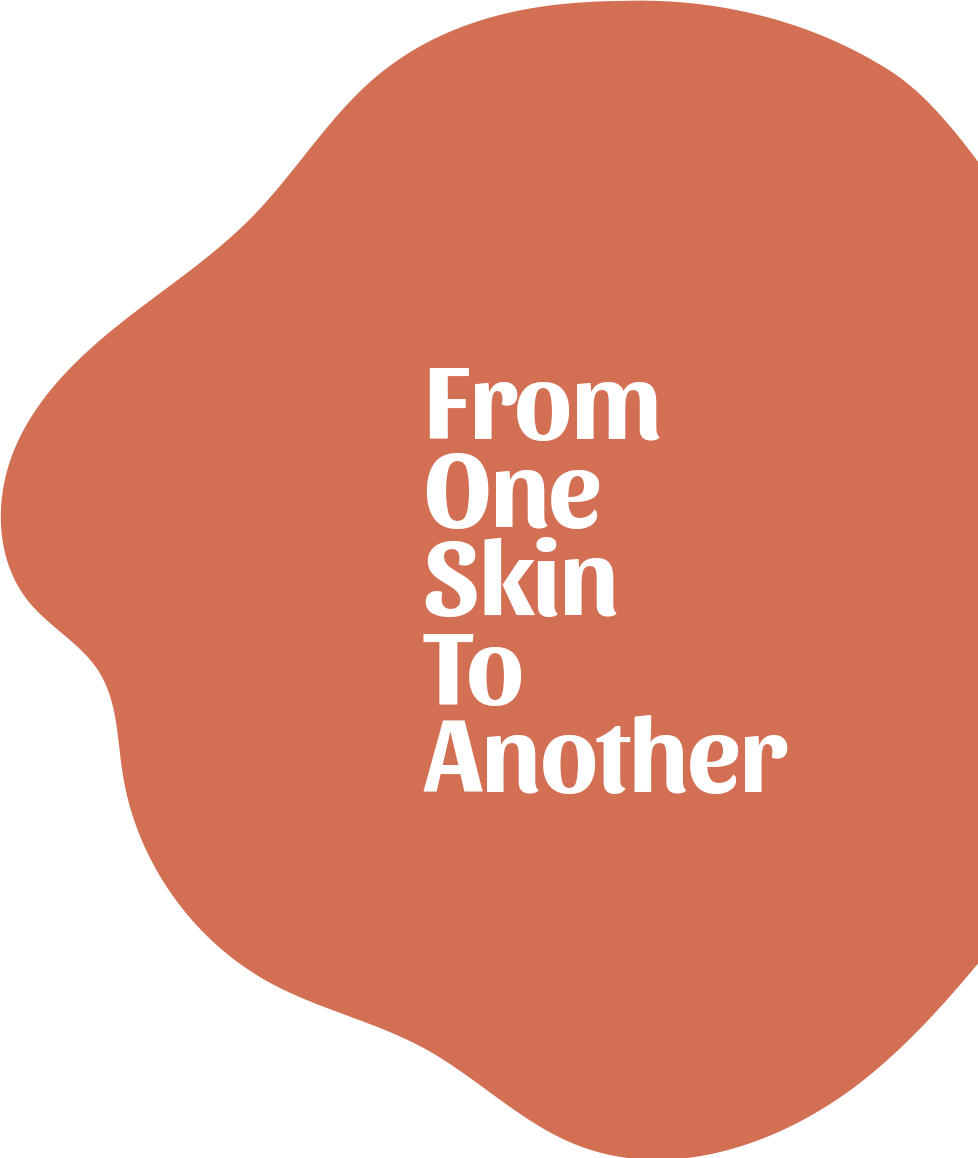 Manos plantando una planta.