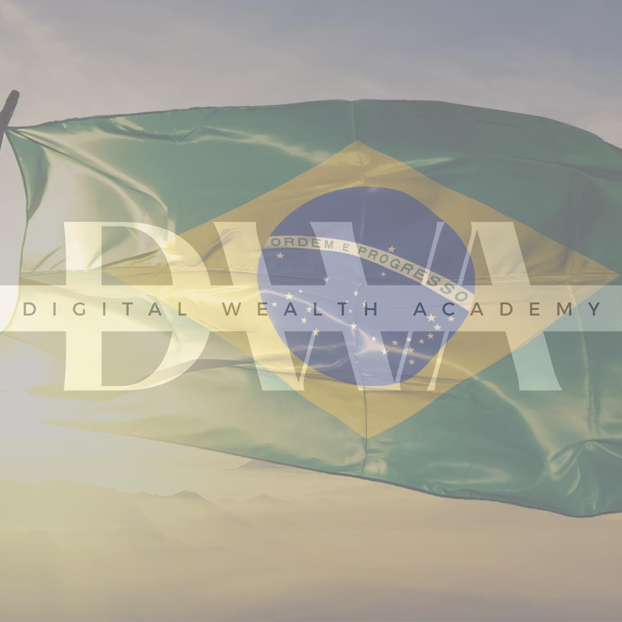 DWA Kiwify  - 12x 