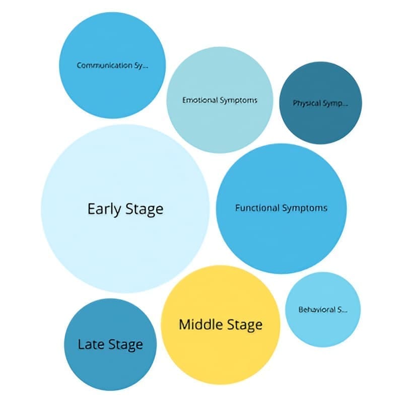 Simple dementia stages chart showing early, middle, and late stages with clear visual design for caregivers