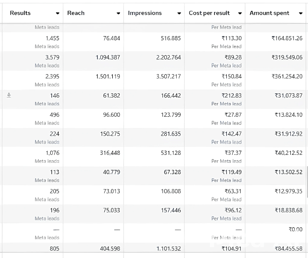 Meta Ads Campaign Results