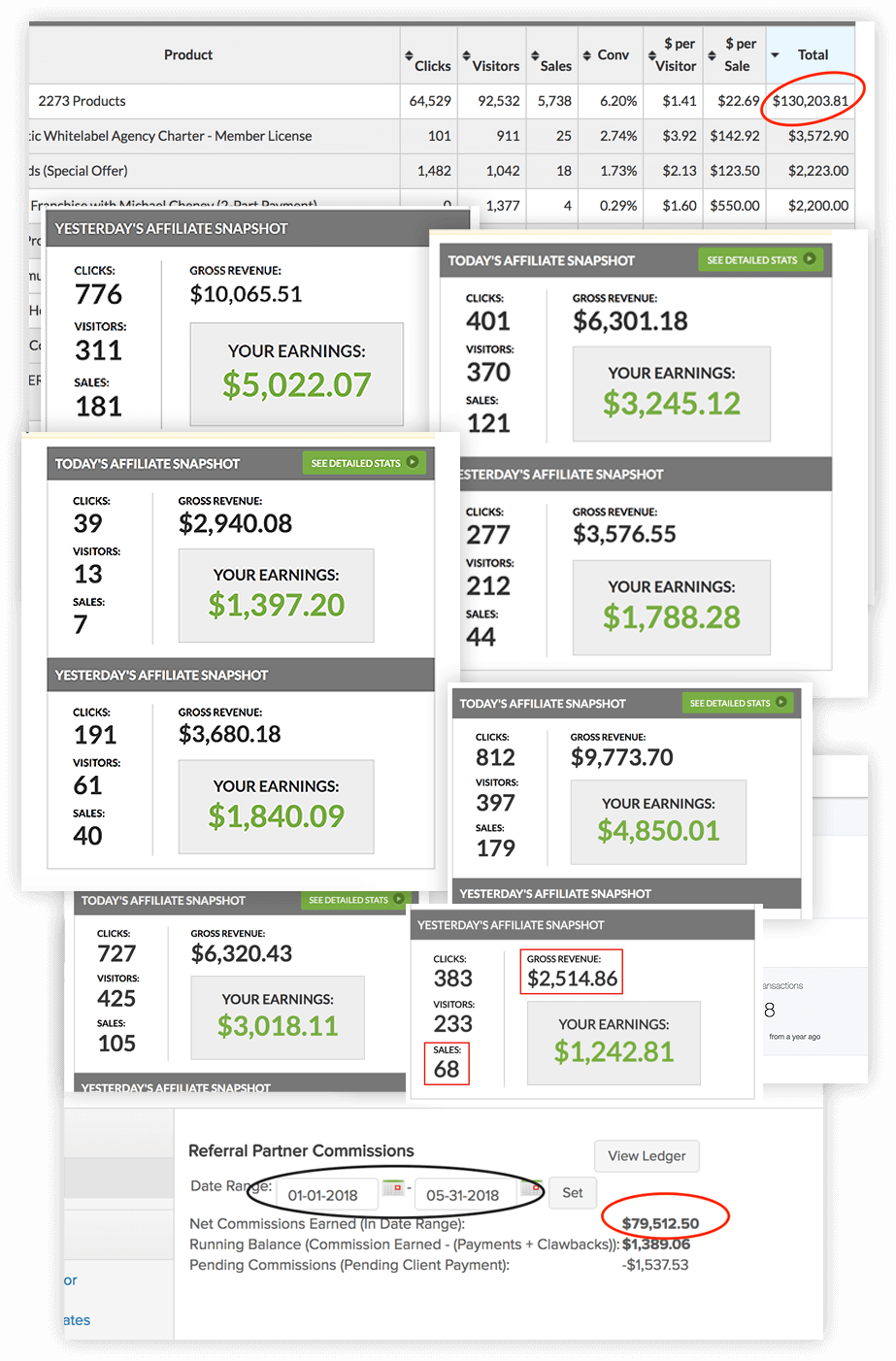 Rapid Affiliate Profits Coaching Program