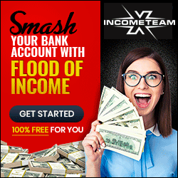 Income Team
