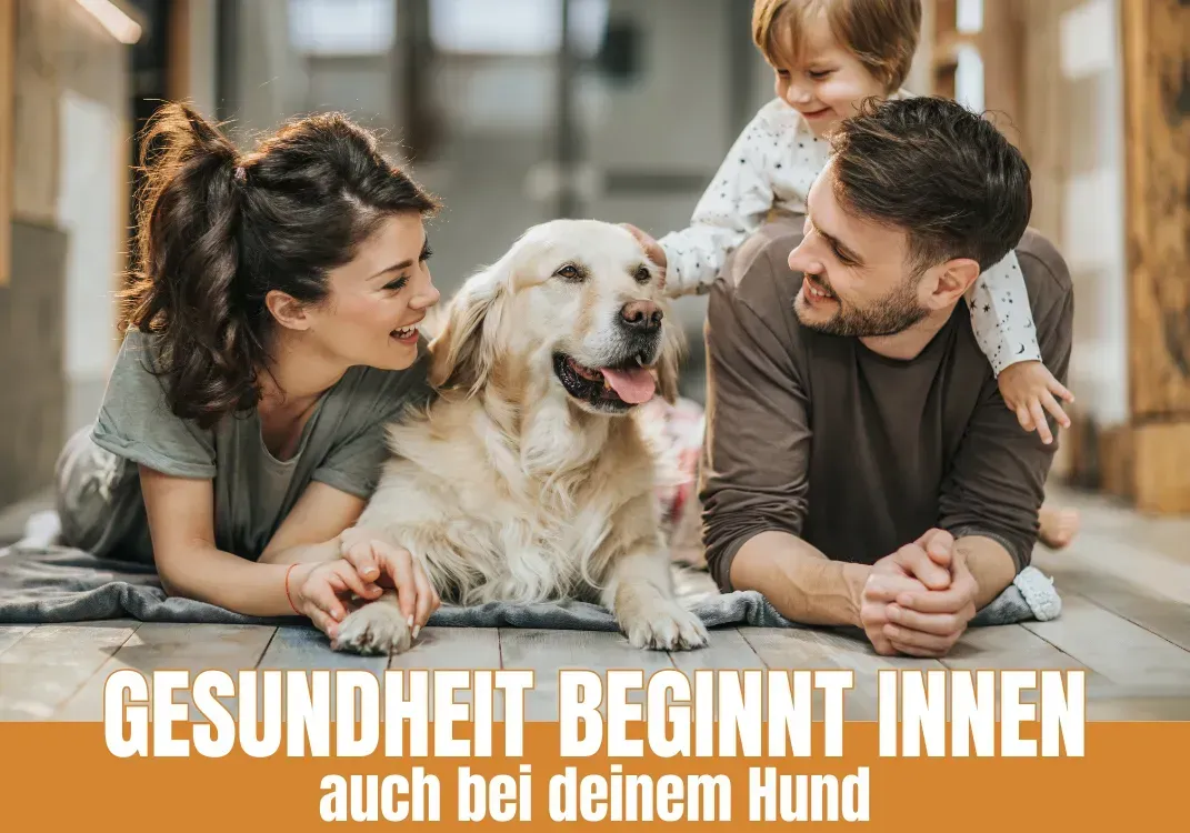 Familie mit Kleinkind liegt lachend neben einem Golden Retriever auf dem Boden. Das Bild symbolisiert Nähe, Vertrauen und natürliche Gesundheitsvorsorge für den Hund. Schriftzug: „Gesundheit beginnt innen – auch bei deinem Hund“. Ideal für Blogartikel zu Nahrungsergänzung, Vitamin B und artgerechter Haltung.