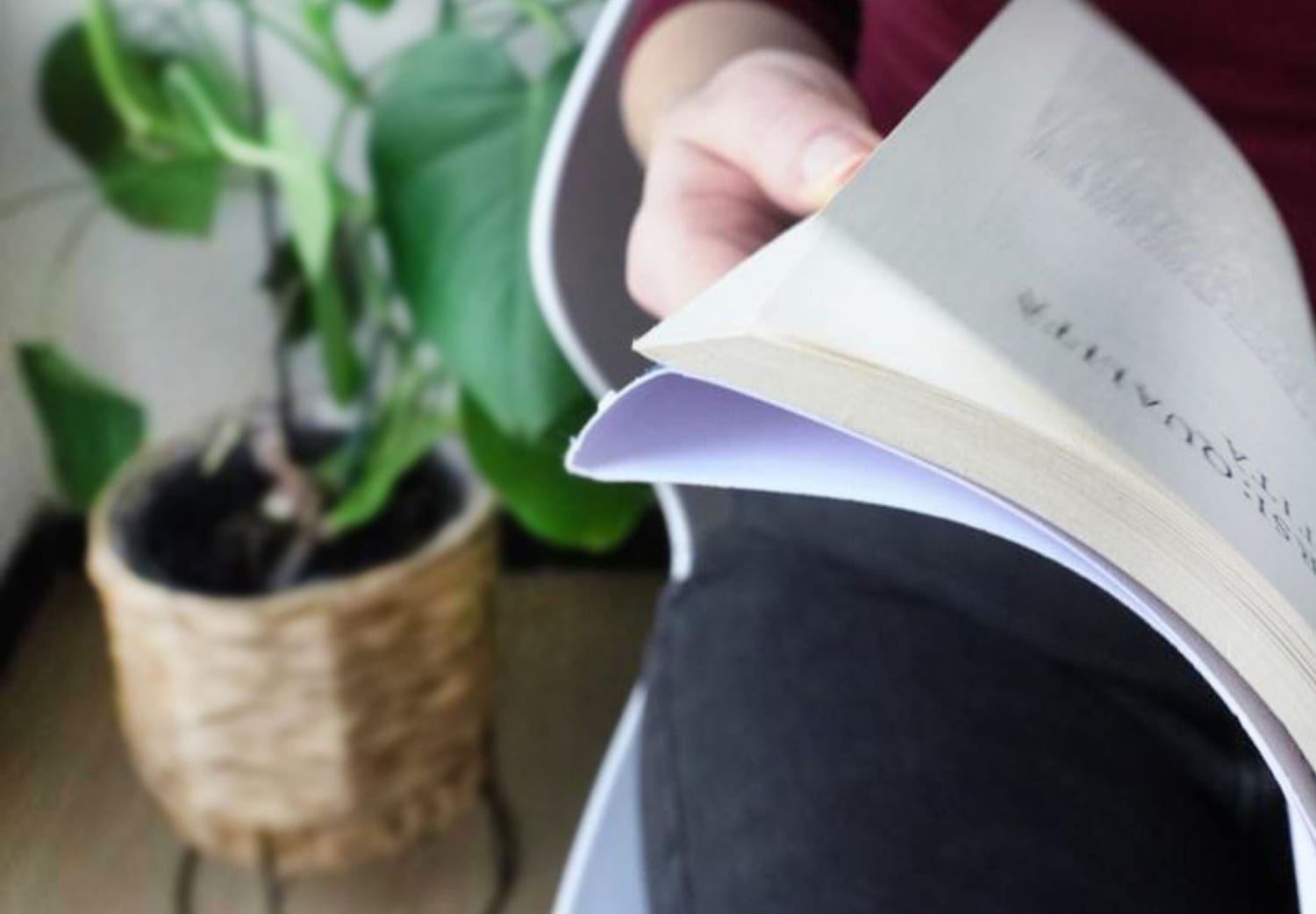 Contatti Monica Borelli