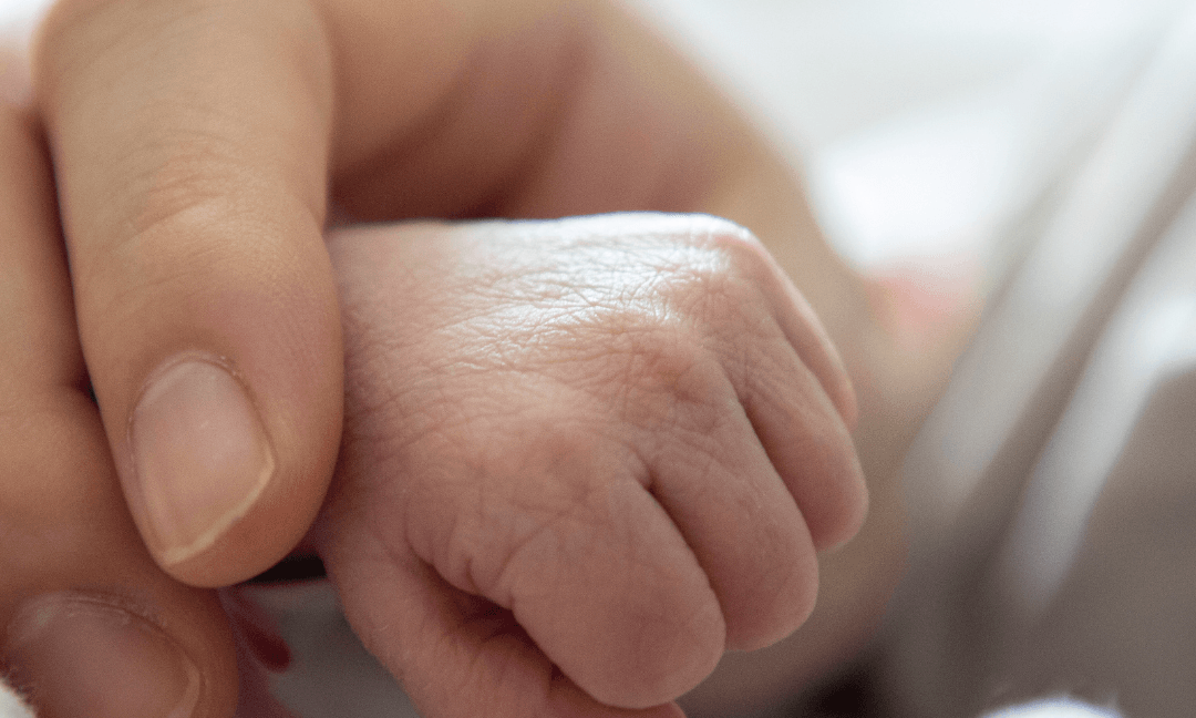 Get instant access to Radiant Mum today ✨