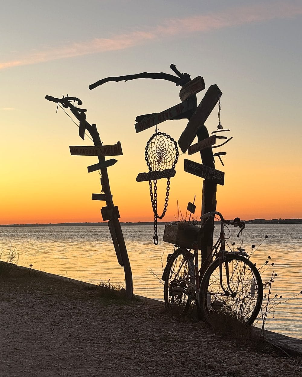 Panneaux en bois flotté au coucher du soleil, avec un vieux vélo