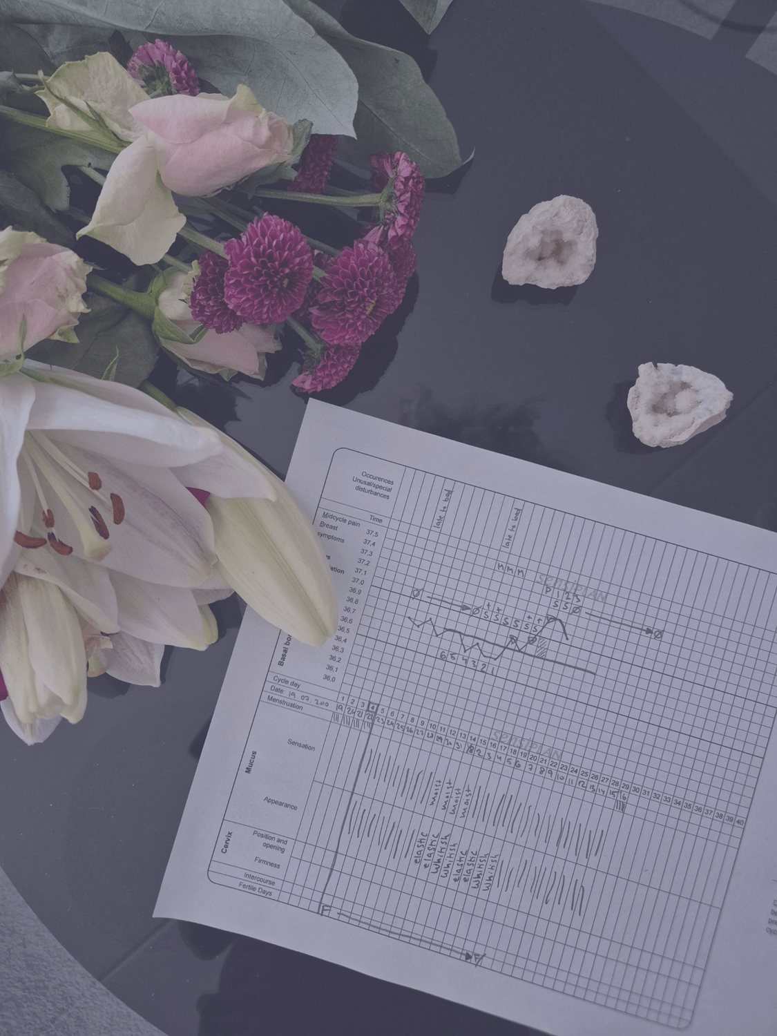 Fertilitetsförståelse Sverige - Sensiplan Menscykelkarta