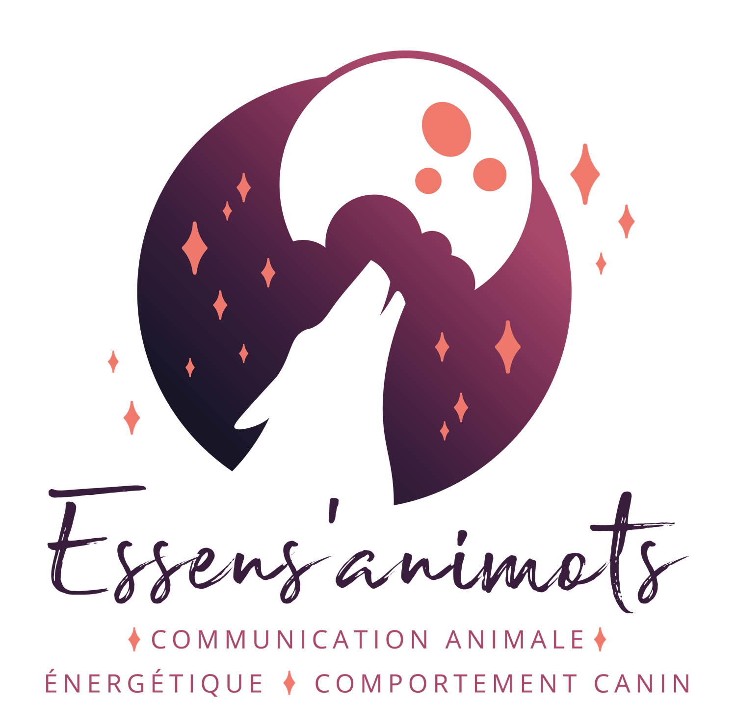 Séance communication animale & énergétique