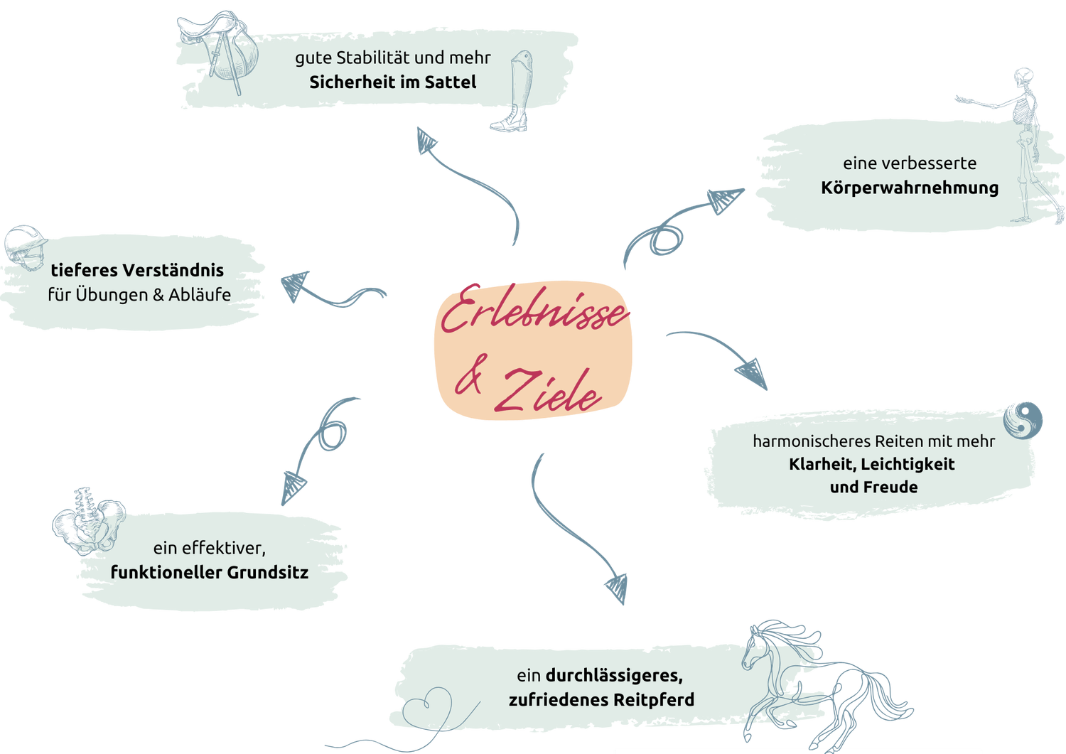 Erlebnisse & Ziele: gute Stabilität und mehr Sicherheit im Sattel; eine verbesserte Körperwahrnehmung; tieferes Verständnis für Übungen & Abläufe; harmonischeres Reiten mit mehr Klarheit, Leichtigkeit und Freude; ein effektiver, funktioneller Grundsitz; ein durchlässigeres, zufriedenes Reitpferd.