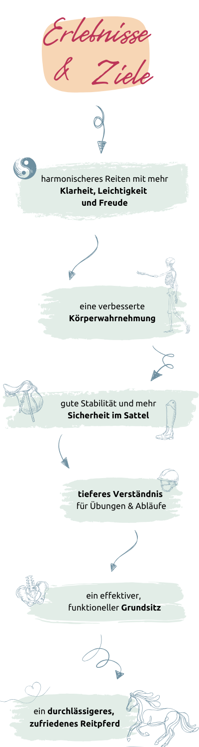 Erlebnisse & Ziele: gute Stabilität und mehr Sicherheit im Sattel; eine verbesserte Körperwahrnehmung; tieferes Verständnis für Übungen & Abläufe; harmonischeres Reiten mit mehr Klarheit, Leichtigkeit und Freude; ein effektiver, funktioneller Grundsitz; ein durchlässigeres, zufriedenes Reitpferd.