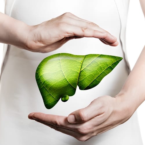 Gastric and Liver care