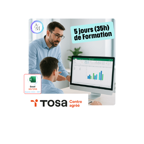 Formation Excel Universel 35h avec certification TOSA Excel à Vénissieux Lyon