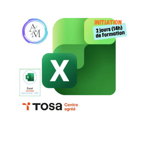Formation Excel Initiation 14h avec certification TOSA Excel à Vénissieux Lyon