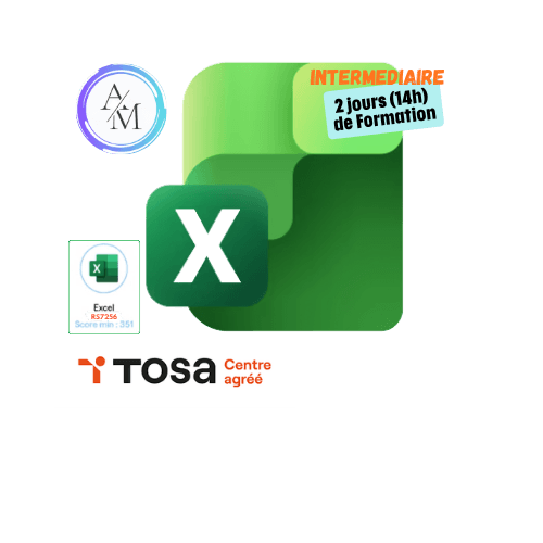 Formation Excel Intermédiaire 14h avec certification TOSA Excel à Vénissieux Lyon