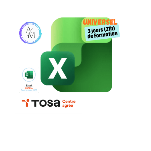 Formation Excel Universel 21h avec certification TOSA Excel à Vénissieux Lyon
