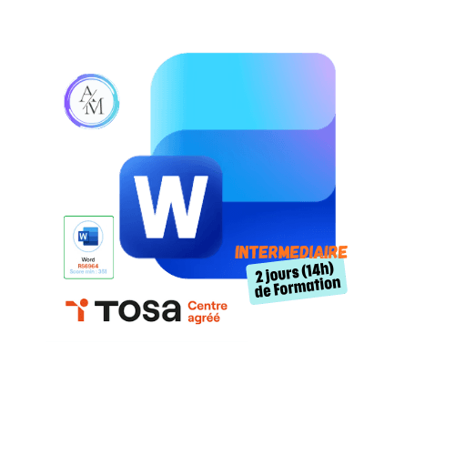 Formation Word Intermédiaire 14h avec certification TOSA Word à Vénissieux Lyon + Centre agréé TOSA pour la certification Word avec Apprendre Maintenant