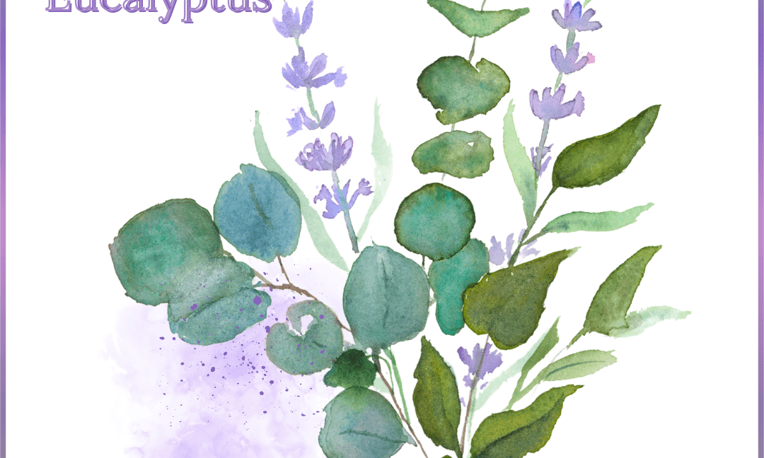 Lavande & Eucalyptus – Peindre un bouquet tout en douceur à l’aquarelle
