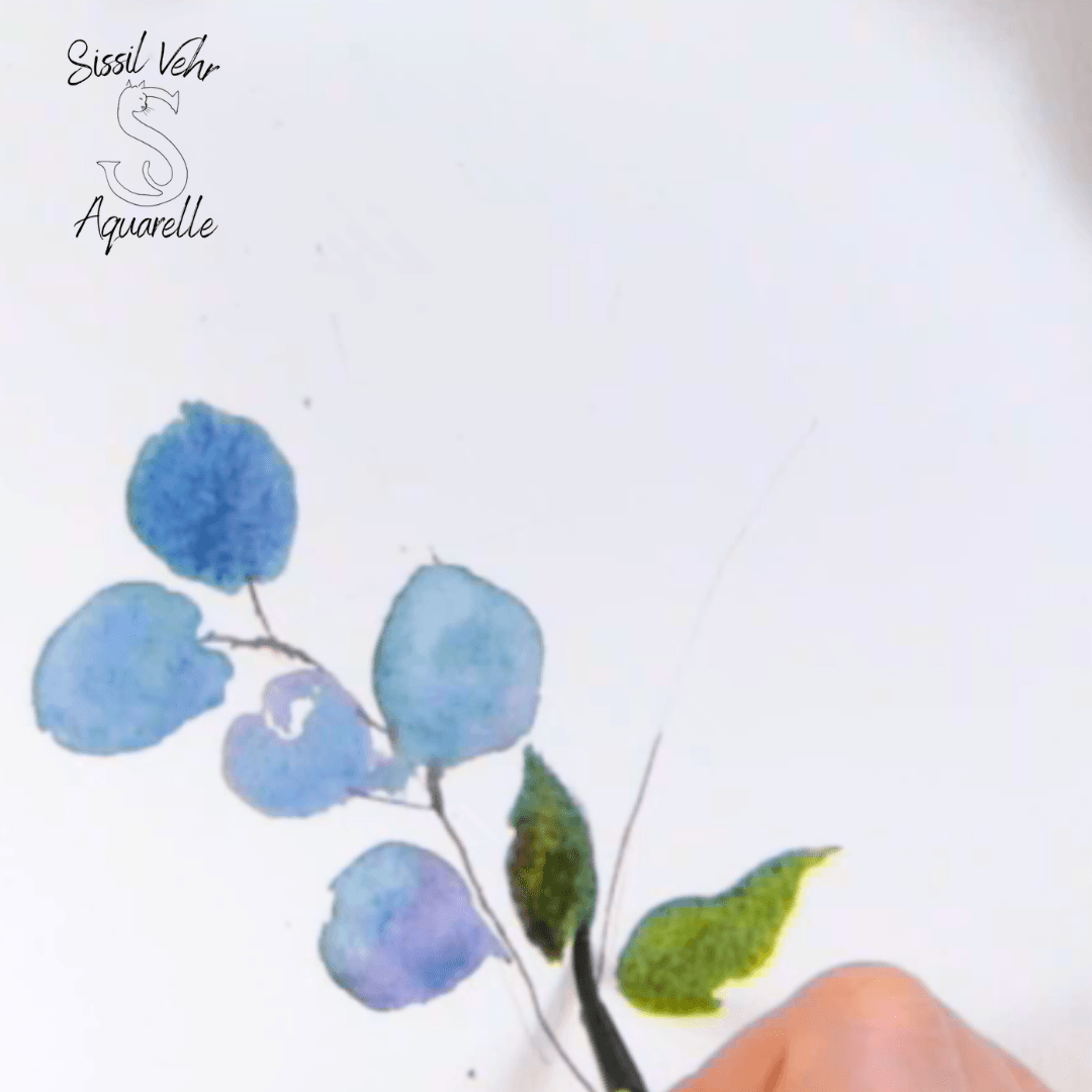 Peindre les premières feuilles du bouquet de lavande et d’eucalyptus à l’aquarelle