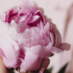 Formation & Certification Thérapeute Énergétique Lahochi