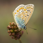 Apaiser le vide, retrouver son centre