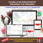 Presupuesto: Organiza tus Finanzas