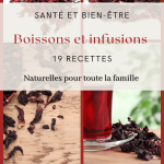 19 Façons de Déguster l’Hibiscus Sans Sucre (Et de Te Sentir Mieux Chaque Jour)