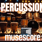Percussions Pro