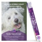 Un viaje al increible cuidado de nuestros perritos