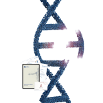 STEP 1: ORDER YOUR TESTS