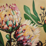 Protea Pride