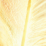 Schrijfkuur deep dive (10u)