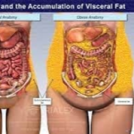 The 3-Step Weight Loss Plan for Busy Women Course & Book