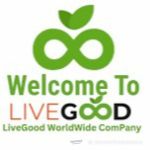 My Primary Income Path