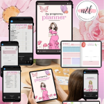 My Pregnancy Planner REG PRICE $59.99 ON SALE $29.99