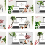 Asistentes 2x2x2: Multinivel + Contenido + Mentalidad