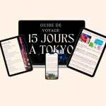 PACK JAPON SOLDES TOUT EN UN 58€ au lieu de 130 € !