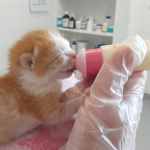 CPD Day Course at Bicton College- 27th June 2026