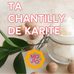 Mini Cours - La chantilly de Karité