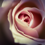 Ton audit de compèt By Galoupète