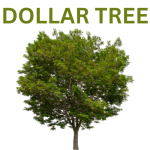 DOLLAR TREE - Discount Variety Store