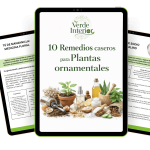 Ebook