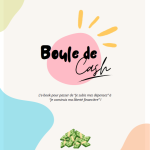 Découvre vite l'ebook Boule de Cash !