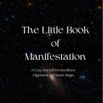 The Little Book of Manifestation 