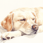 犬の「整った」を見える化する方法